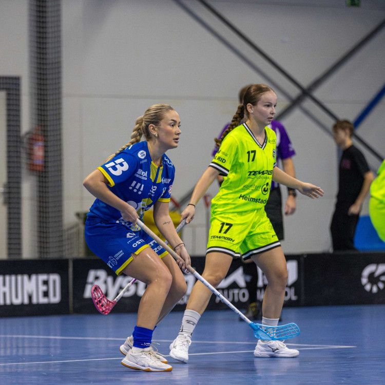 Mistrovství světa žen ve florbale