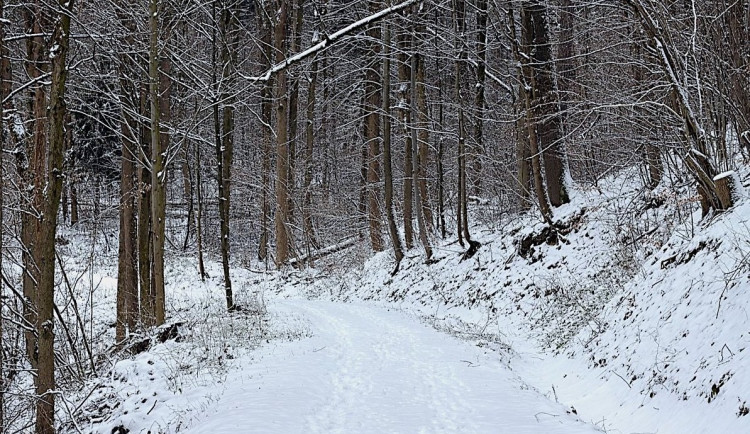 Fotoreportáž: Konečně zima