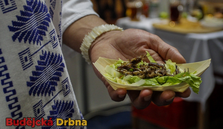 Do Budějc se po roce díky Gastrofestu vrátili gurmáni