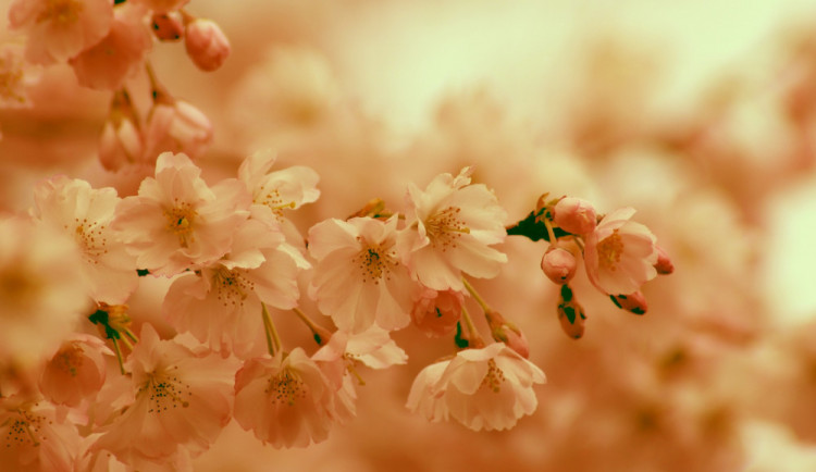 POČASÍ NA STŘEDU: Teploty vystoupají až k 17 stupňům