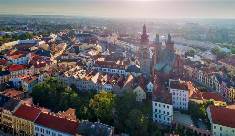 Po Hradci bude vysazeno na sedm stovek nových stromů