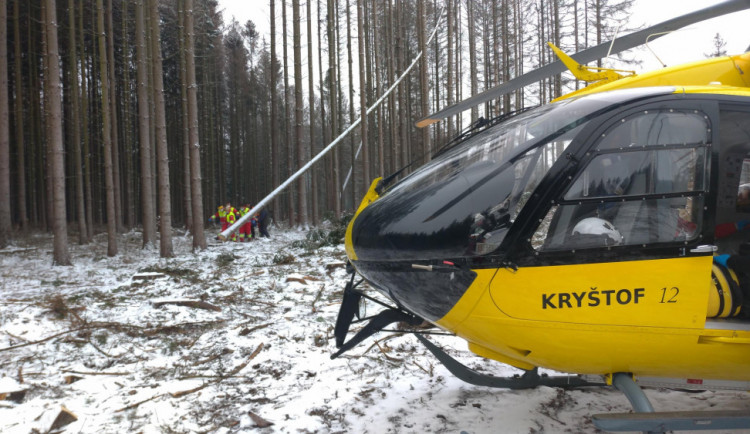 Na mladého muže spadl v Orlických horách při kácení strom. Lékař už jen mohl konstatovat smrt