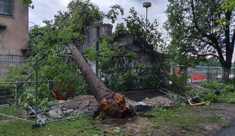Hasiči vyjíždějí od rána k popadaným stromům. Výstraha před silným větrem trvá až do večera