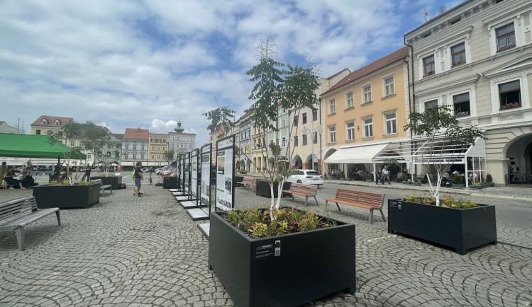 Na budějcké náměstí se vrátily stromy. Zůstanou po celý rok