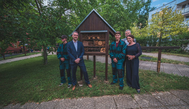 Z vánočního stromu se stal hmyzí hotel a knihobudky pro seniory