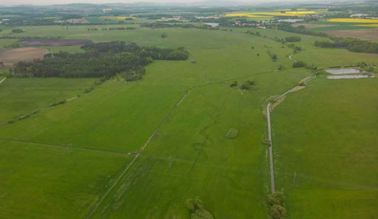 Ve Zbudovských Blatech by mohl vzniknout ptačí park. Lidé na něj přispěli tři miliony korun