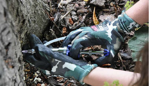 Prostějov ošetří vybrané stromy ve městě. Provede injektáž