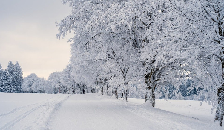 Meteorologové vydali další výstrahu. Napadnout může až 25 centimetrů sněhu