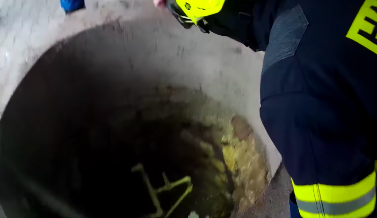 Na Jindřichohradecku spadl do studny pes. Zachránili ho hasiči