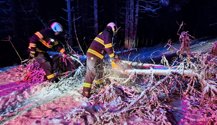 Sněhová kalamita na jihu Čech. Hasiči odklízí stromy, domácnosti jsou bez elektřiny