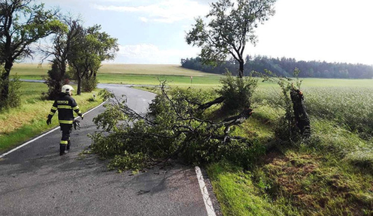 Ve středu bude foukat silný vítr, varovali meteorologové