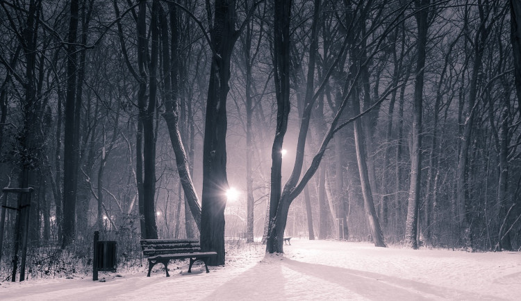 Děvče mrzlo venku na lavičce. Pomohli strážníci i učitelka