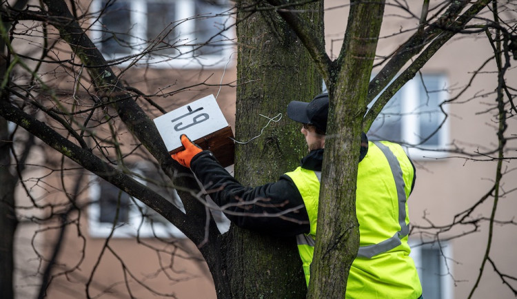 V Ostravě od roku 2021 přibylo 250 ptačích budek, město zajišťuje jejich opravy