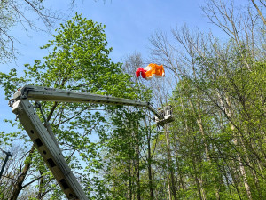 Hasiči sundávali paraglidistu ze stromu. Událost zaměstnala dvě jednotky hasičů