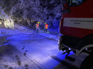 Sníh lámal stromy na Frýdecko-Místecku. Hasiči řešili desítky událostí