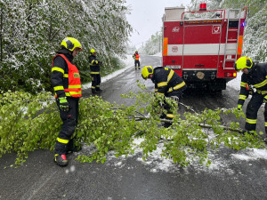Sníh lámal stromy na Frýdecko-Místecku. Hasiči řešili desítky událostí