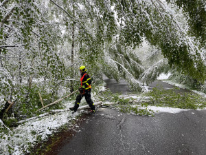 Sníh lámal stromy na Frýdecko-Místecku. Hasiči řešili desítky událostí