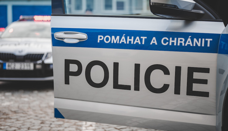 V Písku někdo zastřelil štěně. Po pachateli pátrá policie