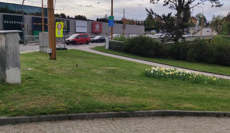 Komplikace se sečením jako loni? Kdepak, letos jde vše podle plánu, posekaná je už třetina Jihlavy