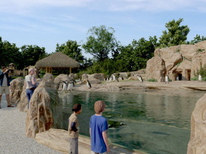 Ostrava chce tučňáky. Chystá pro ně luxusní bydlení