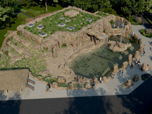 Ostrava chce tučňáky. Chystá pro ně luxusní bydlení