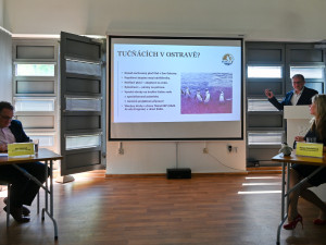 Ostrava chce tučňáky. Chystá pro ně luxusní bydlení