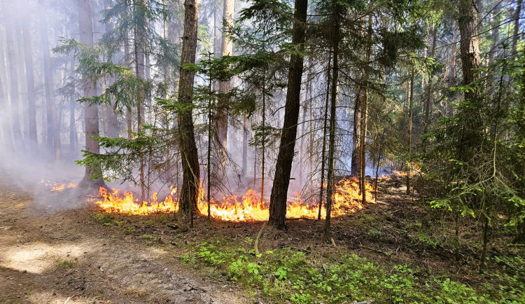 Hasiči řešili požáry a popadané stromy. Filipojakubská noc byla ale klidná