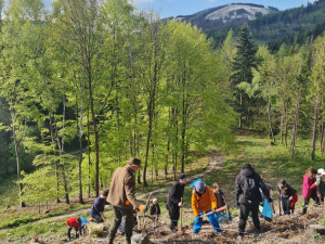 Stovky dobrovolníků vysadily pod vrcholem Velkého Javorníku přes tři a půl tisíce stromů