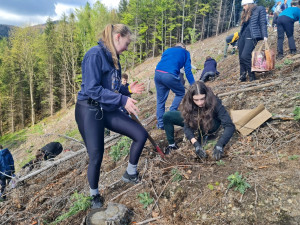 Stovky dobrovolníků vysadily pod vrcholem Velkého Javorníku přes tři a půl tisíce stromů