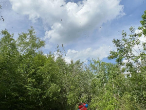 Pro třináctiletého cyklistu letěl vrtulník