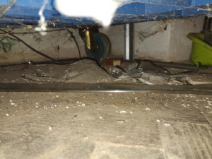 Inspekce uzavřela část obchodu v Odrách. Sklad byl plný odpadků a hmyzu