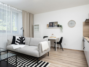 Zájem o bydlení v nájmu se i v Česku dostává do popředí