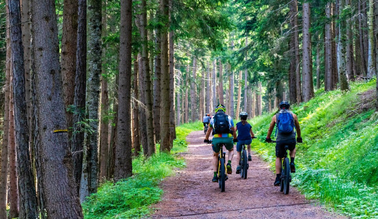 Turisty na Šumavu a Lipno budou i letos převážet cyklobusy. Kraj rozšířil nabídku