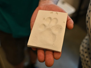 Krematorium zvířat Ostrava otevřeno. V areálu bývalého dolu