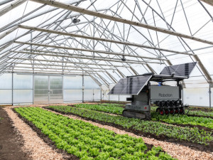 Robot na poli, děti pečující o přírodu. Soutěž E.ON Energy Globe o nejlepší ekologické projekt má šest finalistů