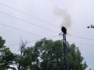 Požár čapího hnízda v Albrechtičkách na Novojičínsku nepřežila čtyři mláďata