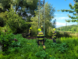 Požár čapího hnízda v Albrechtičkách na Novojičínsku nepřežila čtyři mláďata