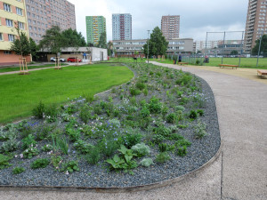 Nejlidnatější ostravská část Jih dostala nový park za 27 milionů, jeho součástí je i vodní biotop