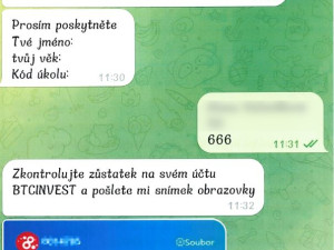 Máte zájem o brigádu? Potom pozor na nový podvod, před kterým varují policisté