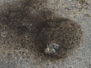 Ostravská policie obvinila muže, který sestrojil výbušný systém a odpálil ho