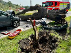 Na projíždějící auto na Bruntálsku spadl strom. Tři lidé se zranili, staršího muže museli záchranáři oživovat