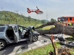 Na projíždějící auto na Bruntálsku spadl strom. Tři lidé se zranili, staršího muže museli záchranáři oživovat