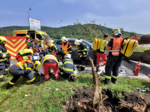 Na projíždějící auto na Bruntálsku spadl strom. Tři lidé se zranili, staršího muže museli záchranáři oživovat