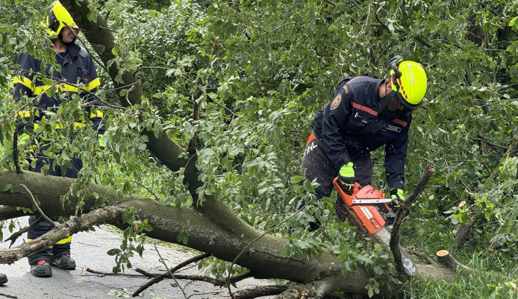 Vítr v Moravskoslezském kraji večer lámal stromy, poškodil několik střech