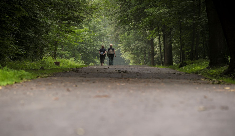 V Ostravany oblíbeném Bělském lese byla dokončena obnova lesních cest
