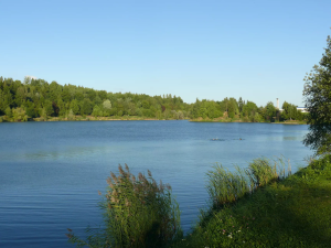 Šestnáctiletý hoch se ve středu utopil při koupání ve Stříbrném jezeře v Opavě. Záchranáři měli cestou nehodu