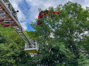 Paraglidistka neplánovaně přistála do koruny stromu. Sundat ji museli hasiči