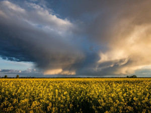 Meteorologové varují před silnými bouřkami a přívalovým deštěm. Výstraha dnes platí pro celý kraj