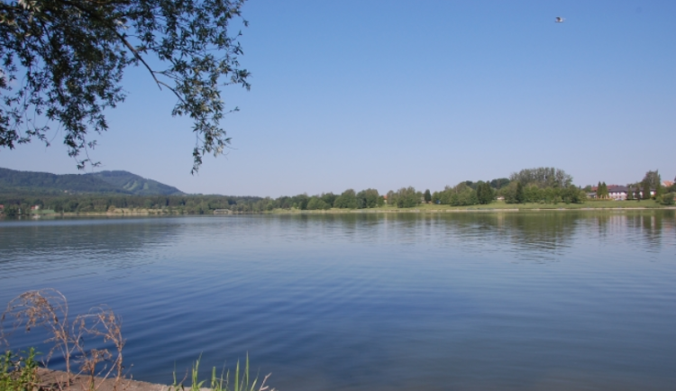 V některých moravskoslezských nádržích zůstávají ve vodě sinice. Nejhůř na tom jsou Olešná a Těrlicko