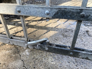 Pes v Ostravě uvízl hlavou v bráně a nemohl ven. Hasiči zvíře vyprostili pomocí nůžek